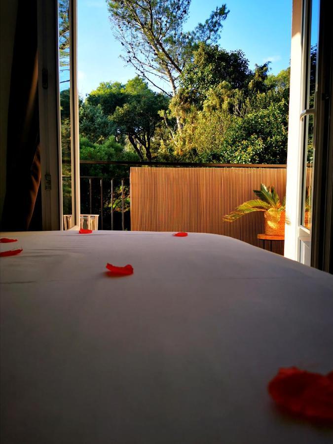 Apartament Instant Cosy Saint-Raphaël Zewnętrze zdjęcie